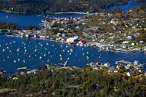 Boats moored in a sheltered harbour, Maine, USA.