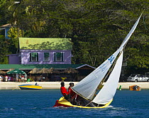 Entrants in the workboat class of Grenada Sailing Festival 2003, during a race off Grand Anse beach in Grenada, Caribbean.