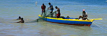 Local fishermen pulling in the nets near Gouyave, Grenada, Caribbean.
