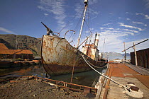 Wreck of the old whaling ship "Petrel" at the abandoned whaling station at Grytviken, South Georgia.
