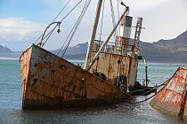 Wrecked seal catchers "Dias" and "Albatross" serve as a reminder of human life at the abandoned whaling station at Grytviken, South Georgia.