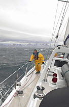 Crew member clipped on and coming aft as 88ft Sloop "Shaman" heads west on a windy day, South Georgia.