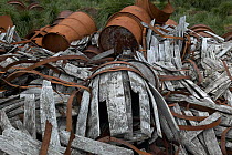 Old barrels and drums at the abandoned whaling station in Husvik, South Georgia.