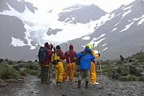 The crew of a visiting yacht carrying their seal sticks and dressed in foul weather gear watching Fur seals, Right Whale Bay, South Georgia.