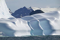 Sculpted icebergs, South Georgia.