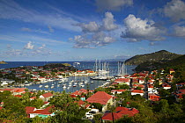 Gustavia harbour during the St Barts Bucket, St Barthelemy, Caribbean.