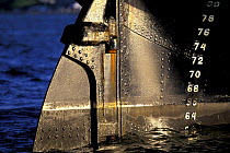 Rudder detail and depth markings on a Russian tall ship.