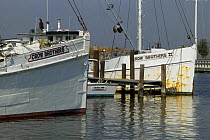 Fishing boats moored in the harbour at Annapolis, Maryland, USA.