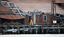 A crew member waiting on the dock of the abandoned whaling station at Stromness, South Georgia.