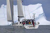 The 88ft sloop ^Shaman^ sailing among the icebergs off South Georgia.