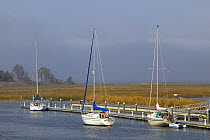 Yachts moored in the harbour at Annapolis, Maryland, USA.