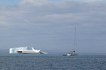 The 88 foot sloop "Shaman" anchored beside icebergs off South Georgia.
