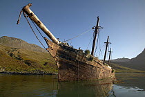 The wrecked coaling ship ^Bayard^ lying in Ocean Harbour, South Georgia. ^^^She was blown from her mooring during a severe gale in 1911 and is now a nesting ground for cormorants and petrels.