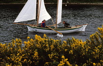Sailing and rowing on the Caledonian canal towards Bona Lighthouse on Loch Ness, during the Great Glen Raid, Scotland. ^^^Rowing in the narrow stretches and sailing through the lochs, the Great Glen R...