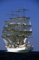 Three masted, square rigged Tall Ship "Xepcoec" sailing downwind at a Brest rally, Brittany, France.