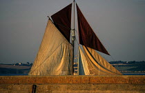 Sails of restored old crawfish boat "Solveig" entering Douarnenez harbour, Brittany, France.