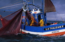 Sardine fishing boat off the coast of Concarneau, South Brittany, France.