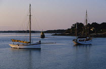Traditional wooden gaffers anchored under the setting sun off Port-Navalo, Golfe du Morbihan, Brittany, France.