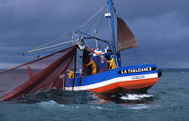 Sardine fishing off Concarneau, South Brittany, France.