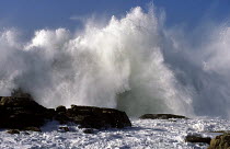 Crashing waves on rocks in a southwesterly storm at St Guenole, Finistere, Brittany, France.