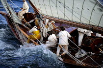 Cutter "Avel", designed by Charles E. Nicholson in and launched in 1895, sailing during the October regattas off St Tropez, France.
