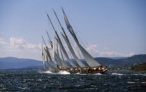Two classic schooners "Shenandoah" and "Mariette" thrashing upwind in a rising mistral off St Tropez, South France.