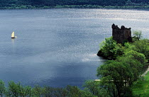 Great Glen Raid competitors sailing past Urquhart Castle in Loch Ness, Scotland. ^^^Rowing in the narrow stretches and sailing through the lochs, the Great Glen Raid competitors cross Scotland along t...