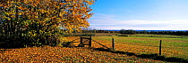 Conanicut farmlands in autumn, Rhode Island, USA.