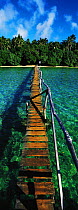 Old jetty leading to a tropical beach in the Vava'u Group of islands, Tonga, South Pacific.