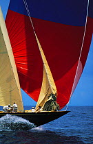 Foredeck crew aboard J-Class "Velsheda" lowering the jib as the yacht races downwind under asymmetric spinnaker, Antigua Classic Yacht Regatta, Caribbean. Property Released.