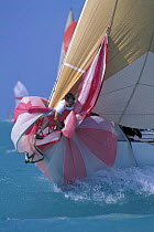 The bowman gathers in the spinnaker during a spinnaker drop at Key West Race Week, Florida, USA.