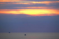 Sunrise over fishing boats at Martha's Vineyard, Massachusetts, USA.
