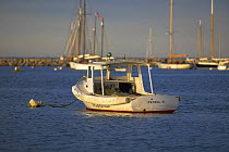 Lobster boat "Patrol II" moored in Vineyard Haven, Martha's Vineyard, Massachusetts, USA.