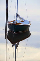 Small dayboat at mooring on a calm dawn off Martha's Vineyard, Massachusetts, USA