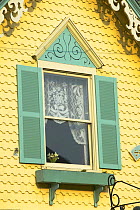 Window detail with shutters and net curtains, Oak Bluffs, Martha's Vineyard, Massachusetts, USA.