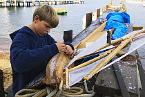 Young boy playing with a model sailboat in Vineyard Haven, Martha's Vineyard, Massachusetts, USA.