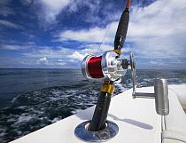 Deep sea fishing rod on board a sport fishing boat, Guatemala.
