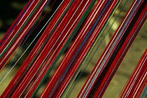 Colourful threads of handweaving loom, Guatemala.