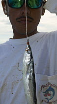Man holding fish bait on a hook and line, Guatemala.