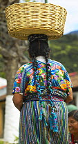 Rear view of woman with long plaits walking balancing a basket on her head, Antigua, Guatemala.