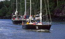 Pen Duick II and Pen Duick VI, two of the yachts owned by Eric Tabarly, sailing on the Odet River during the centenary of his first Pen Duick in 1998, South Brittany, France.