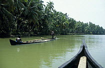 Dugout canoes travelling up a river.
