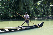 Man punting a dugout canoe.