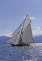 Cutter "Avel" sailing in the Baie de Cannes with the Esterel Mountains in the background, South of France. Avel was designed by Charles E. Nicholson and built in 1895 at Camper and Nicholson's ^^^boat...