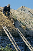 Thatcher restoring a roof on the Aran islands, County Galway,  Republic of Ireland