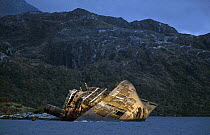 A ship wreck abandoned on rocks in the Chilean Waterway, Chile.
