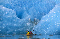 Kayaking among turquoise icebergs at the foot of Bear Glacier in the Kenai Fjords National Park, Kenai Peninsula, Alaska.