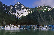 Kayaking beneath mountains, Bear Glacier, Kenai Fjords National Park, Kenai Peninsula, Alaska.