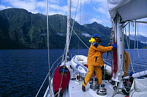 Crew member tidying away ropes on the deck of 88ft sloop "Shaman", Alaska.