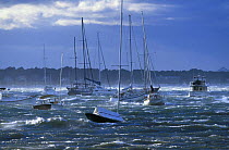 Boats moored off the coast of New England during Hurricane Bob, Rhode Island, USA, 1991.